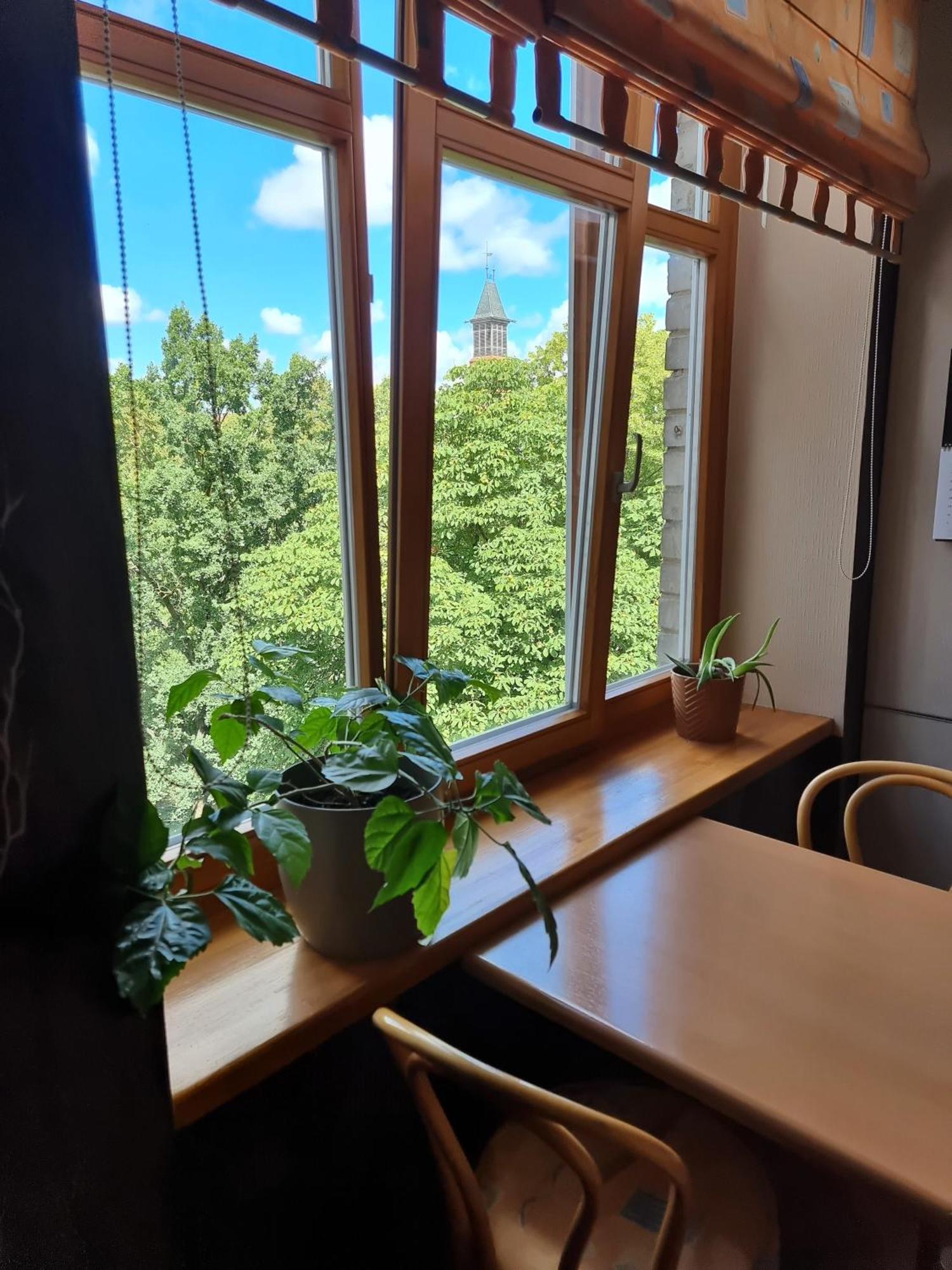 Js Apartamentai Su Savarankisku Isiregistravimu 클라이페다 외부 사진